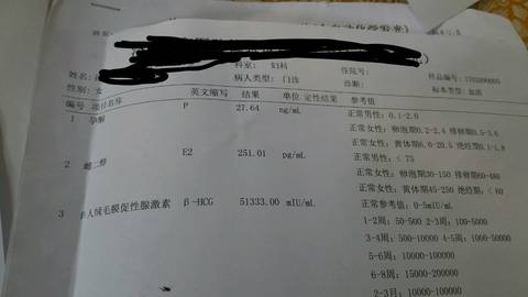 journal_insert_pic_678316845