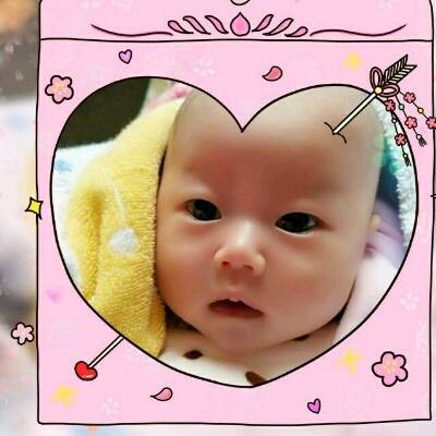 journal_insert_pic_679383740
