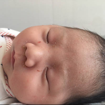 journal_insert_pic_679216836