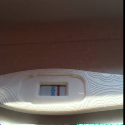 journal_insert_pic_680054139