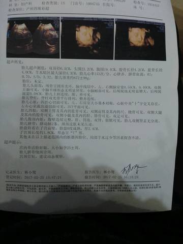 journal_insert_pic_680335031