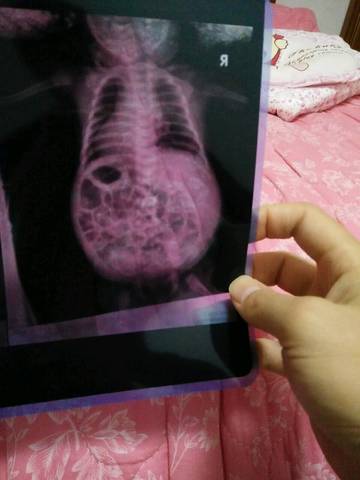 journal_insert_pic_681060331