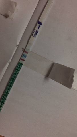 journal_insert_pic_682391749