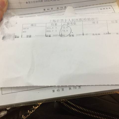 journal_insert_pic_682478152