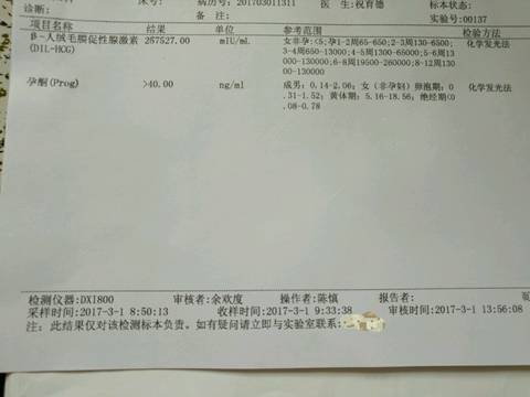 journal_insert_pic_683514359