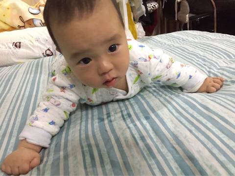 journal_insert_pic_684442736