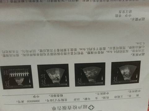 journal_insert_pic_685084726