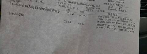 journal_insert_pic_685108995