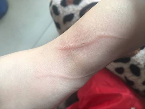 journal_insert_pic_686451550