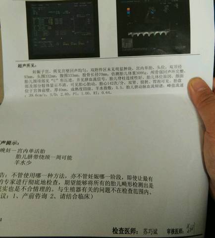 journal_insert_pic_687850437