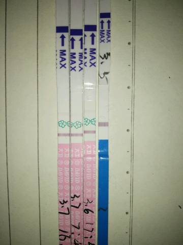journal_insert_pic_688229767