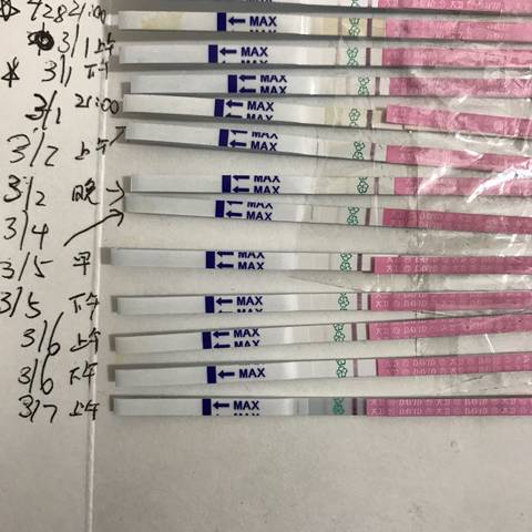 journal_insert_pic_687884422