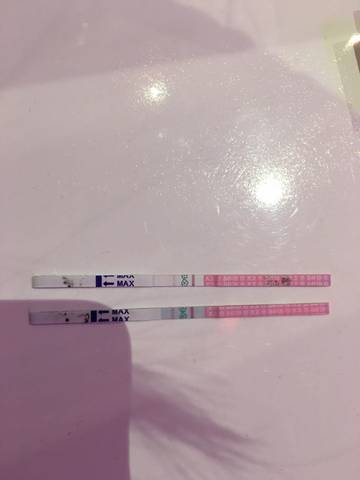 journal_insert_pic_688437108