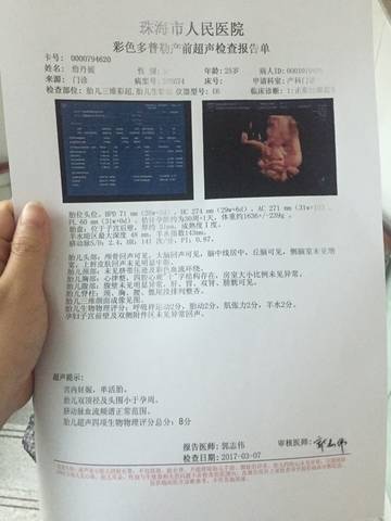 journal_insert_pic_688558377