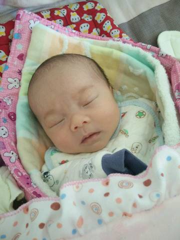 journal_insert_pic_689847512