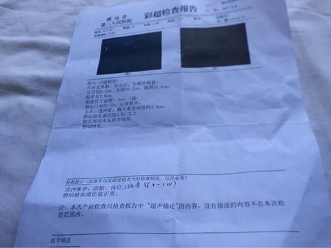 journal_insert_pic_690038002