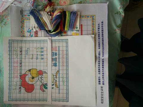 journal_insert_pic_690002895