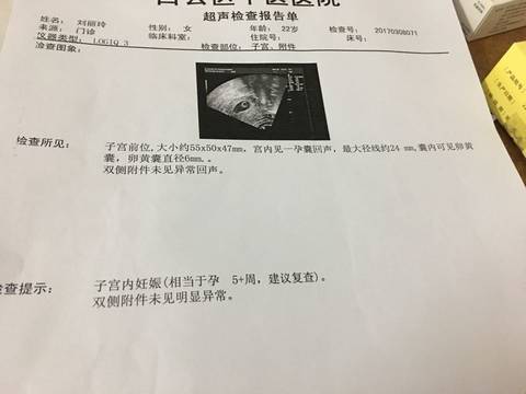 journal_insert_pic_690385571