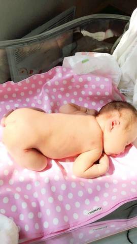 journal_insert_pic_690896177