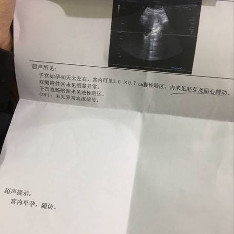 journal_insert_pic_693259123