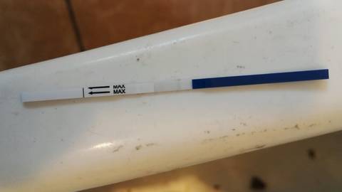 journal_insert_pic_693158853