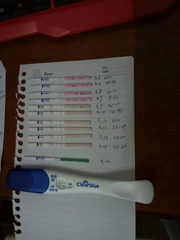 journal_insert_pic_693760711