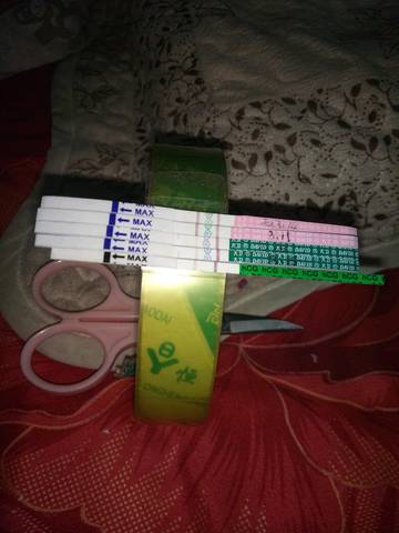 journal_insert_pic_694966203