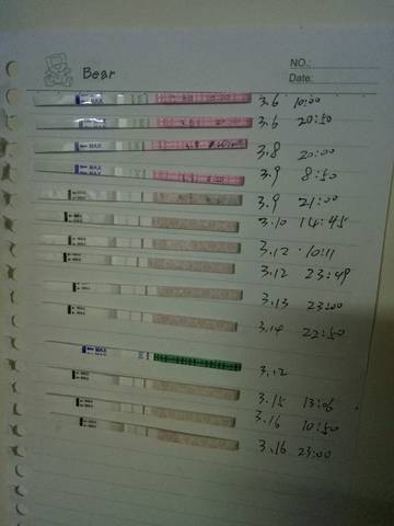 journal_insert_pic_695257834