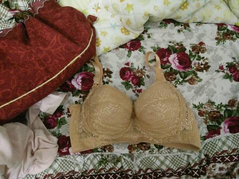 journal_insert_pic_695631813