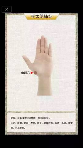 journal_insert_pic_696189301