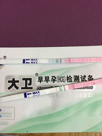 journal_insert_pic_699045817