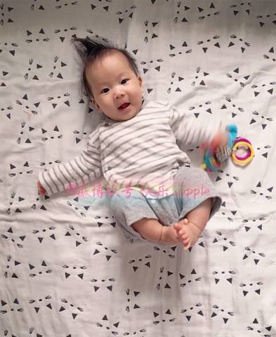 journal_insert_pic_698725228