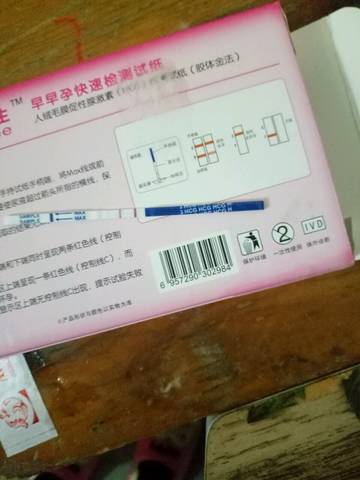 journal_insert_pic_699370823