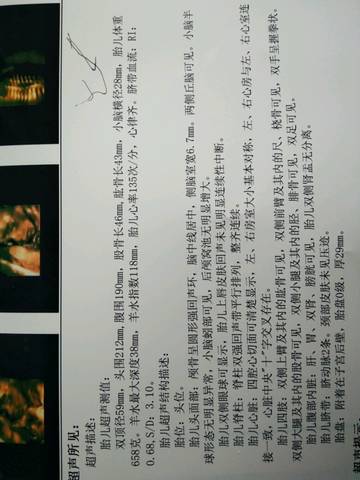 journal_insert_pic_699337516