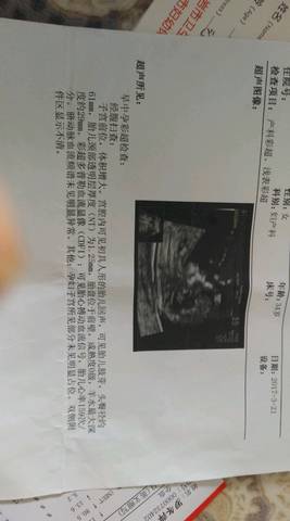 journal_insert_pic_700150255