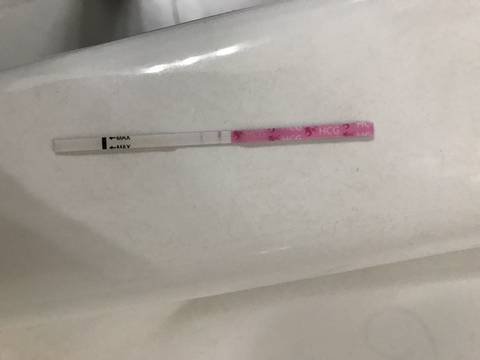 journal_insert_pic_700394182
