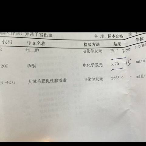 journal_insert_pic_700389650