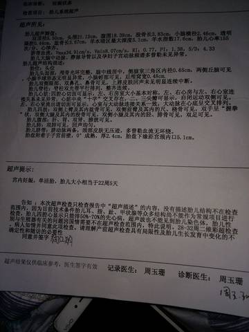 journal_insert_pic_700440279