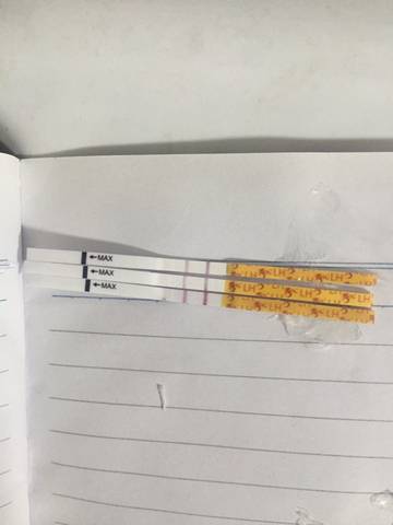 journal_insert_pic_700763009