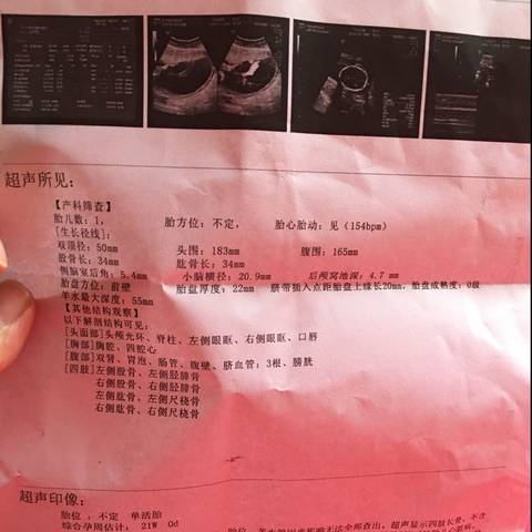 journal_insert_pic_701002771