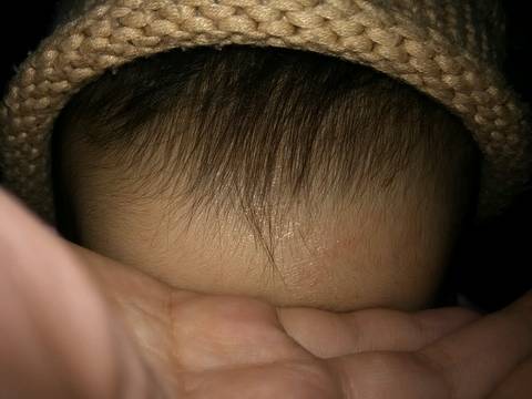 journal_insert_pic_701846448