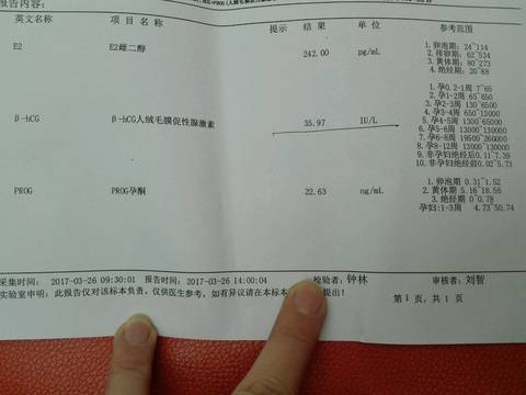 journal_insert_pic_702511243