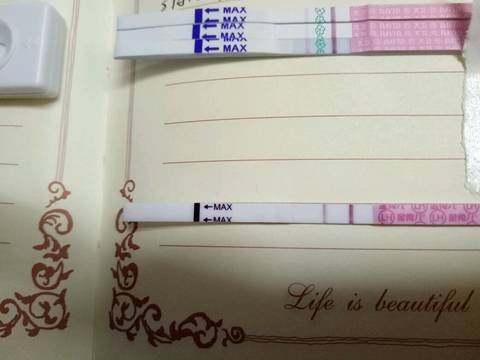 journal_insert_pic_702622075