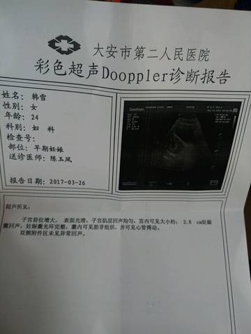 journal_insert_pic_702295854