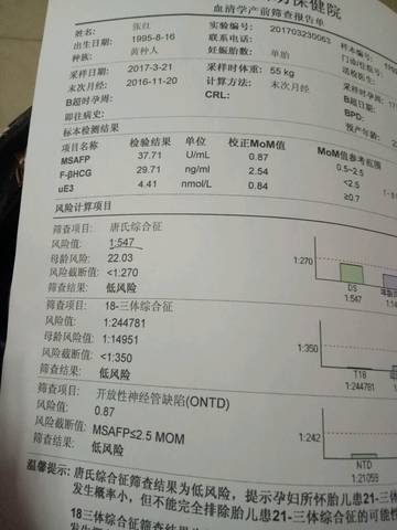 journal_insert_pic_703393603