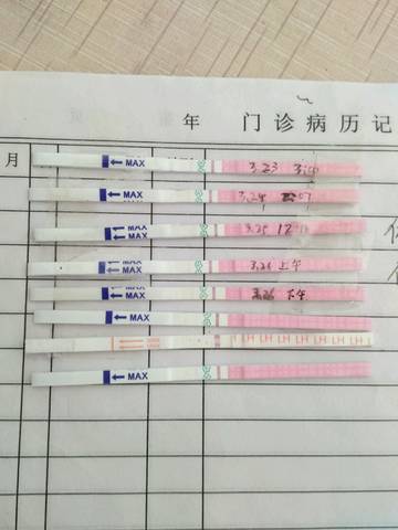 journal_insert_pic_703879172
