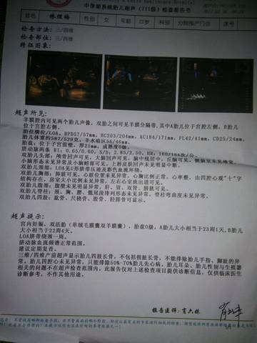 journal_insert_pic_704280163