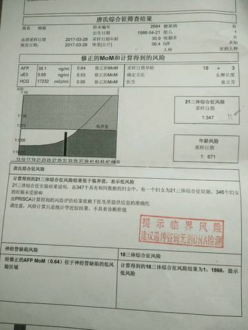 journal_insert_pic_704100835