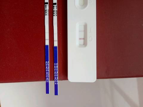 journal_insert_pic_704697120