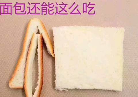 journal_insert_pic_704453894